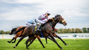 Służewiec znów tętni życiem. Sezon wyścigów konnych rozpoczęty