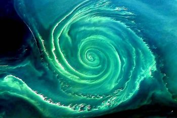 To już fakt. Wielki zielony wir na Bałtyku. Nie wróży niczego dobrego