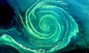 To już fakt. Wielki zielony wir na Bałtyku. Nie wróży niczego dobrego