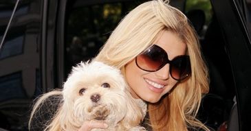 Jessica Simpson CHCE ZAJŚĆ W CIĄŻĘ