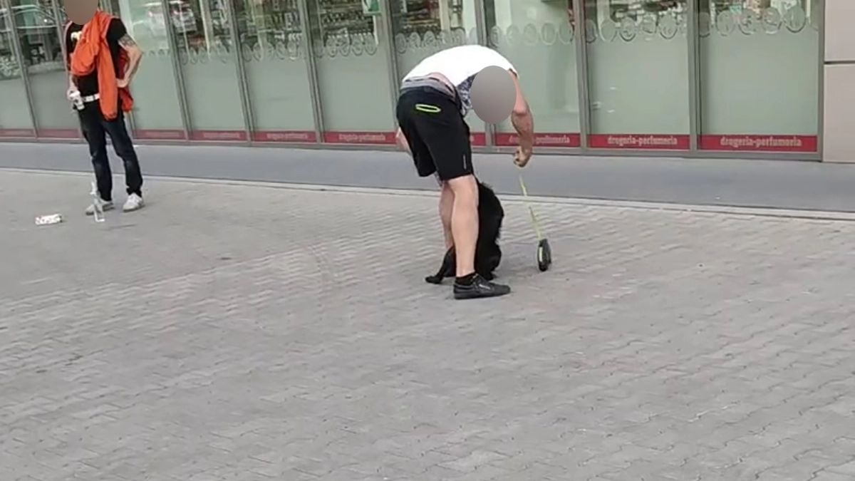 Znęcał się nad psem, bił go po głowie 