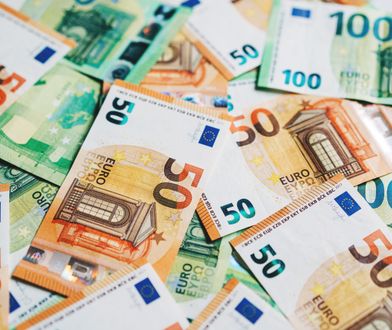 Dobra wiadomość dla Polaków w Niemczech. Od stycznia urosną płace