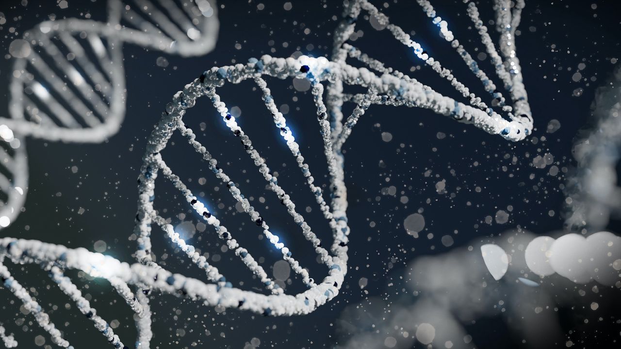 Rekordowo stare DNA na Antarktydzie. Naukowcy zachwyceni odkryciem