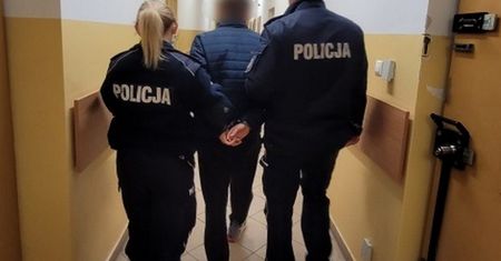 Wyprał kotkę w pralce. Zwierzę nie miało szans