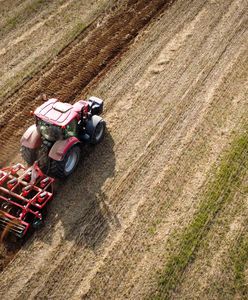 Problem dotyczy całego świata. Oto co zagraża nam w glebach