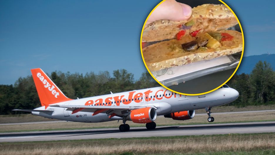 Pasażer pokazał, jaką kanapkę dostał w samolocie 