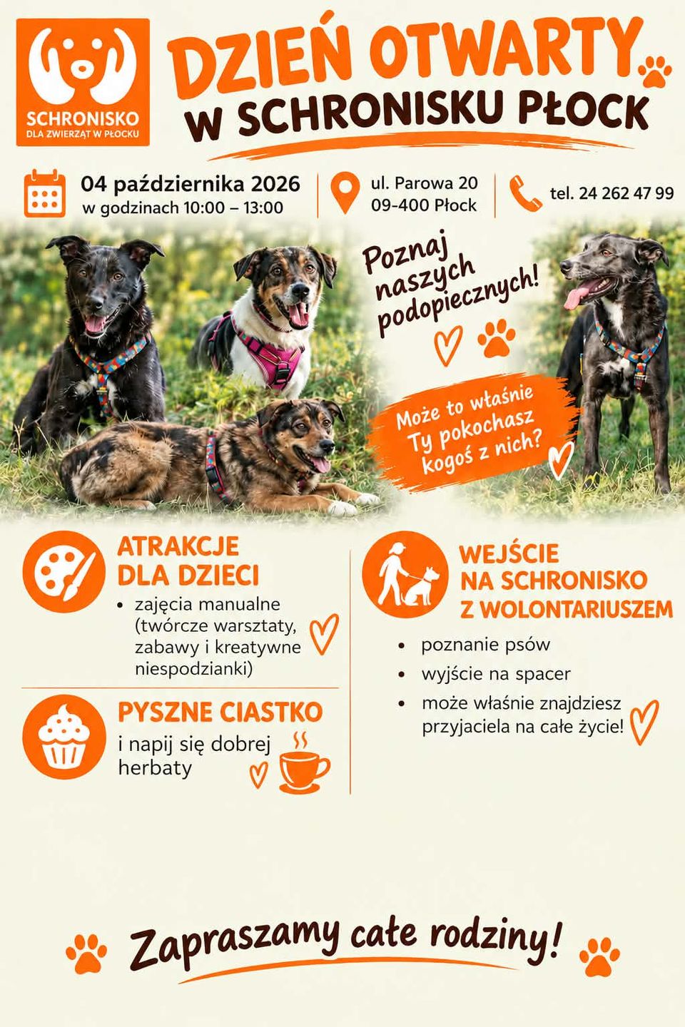 Dzień otwarty w płockim schronisku 