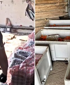 Odkrycie w marchewkach z Hiszpanii. Służby nie dały się nabrać