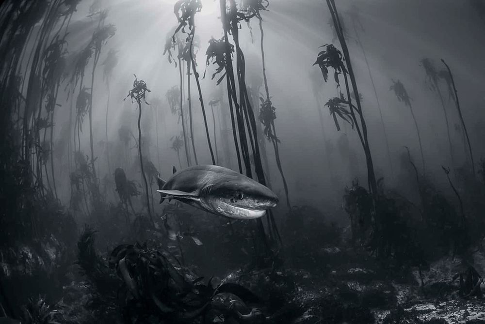 Przedstawiamy wam najlepsze z ostatnio zgłoszonych zdjęć w konkursie National Geographic Travel Photographer of the Year 2016 7