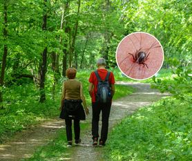 Włóż do butów lub kieszeni. Komary i kleszcze nawet się nie zbliżą