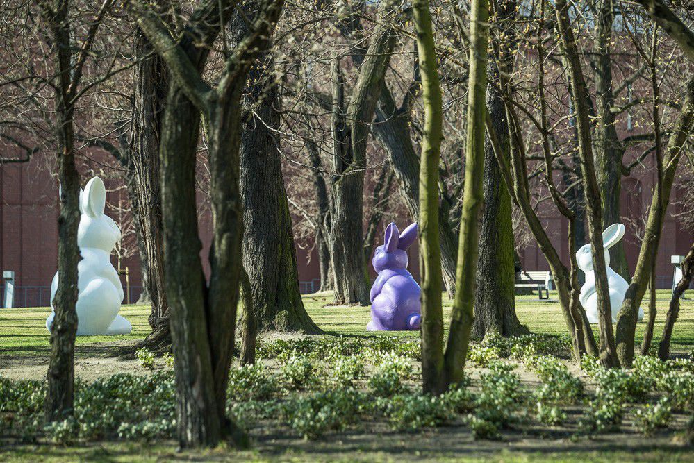 Stary Browar: warsztaty z zającami w tle