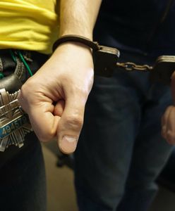 Gwałt na 21-latce z Wielkopolski. Aresztowano dwóch podejrzanych