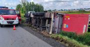 Wywróciła się ciężarówka z trzodą chlewną. Zwierzęta rzuciły się do ucieczki