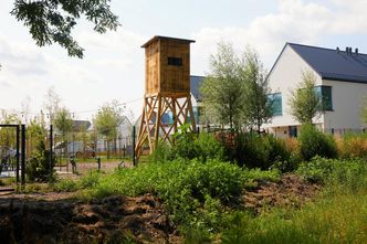 Ambona myśliwska na osiedlu mieszkalnym? Ekolodzy alarmują