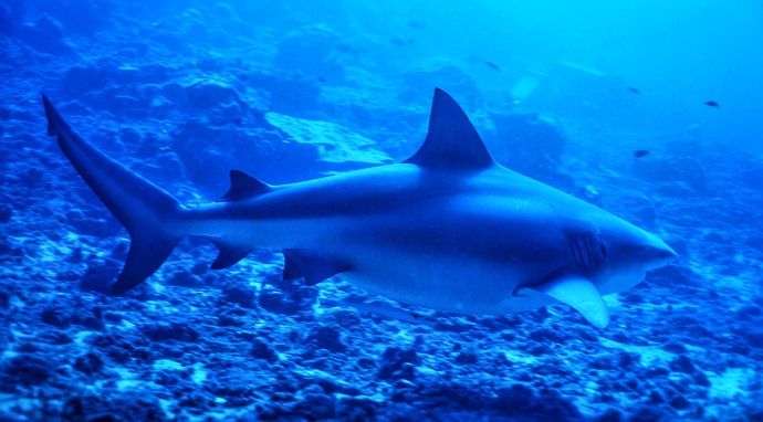 Gdyby na Ziemi nie było lądów