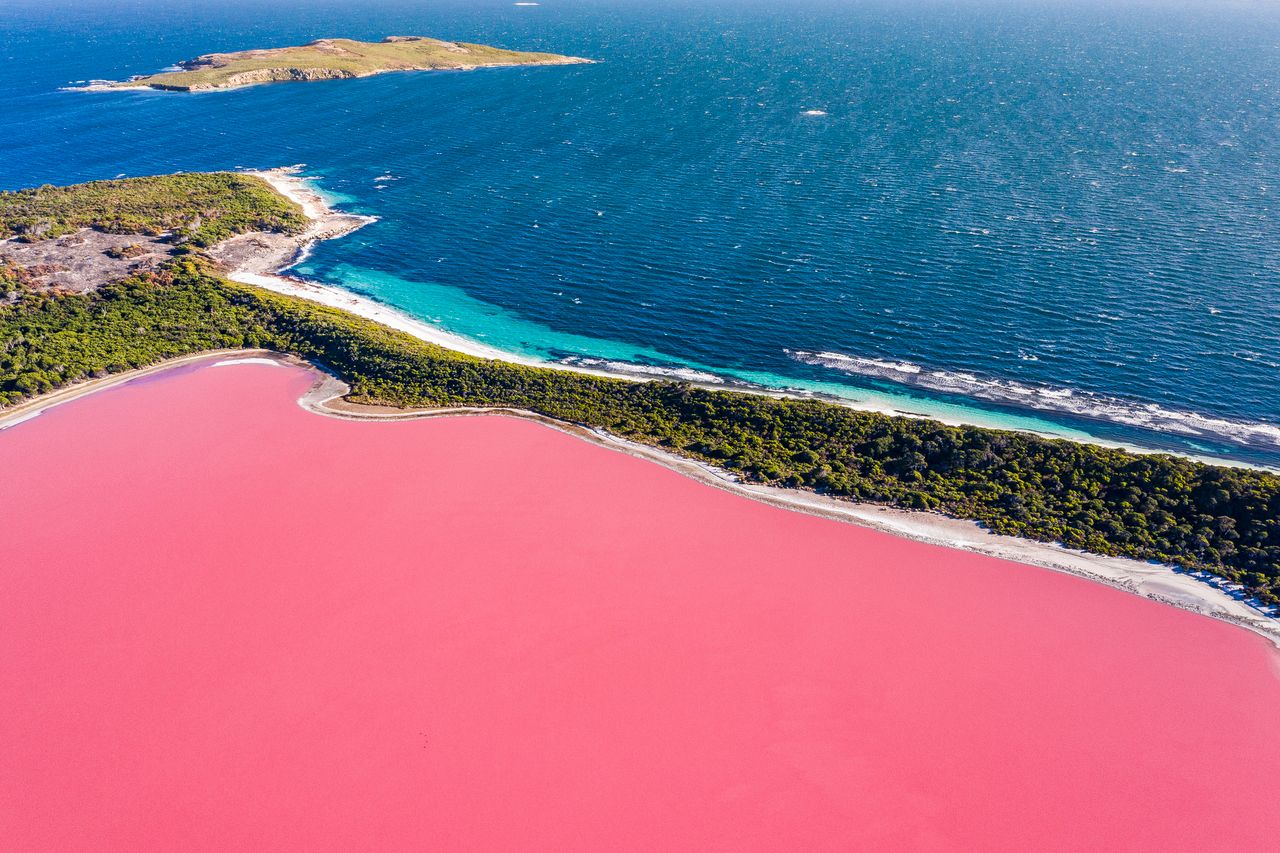 różowe jezioro, fot. Getty Images