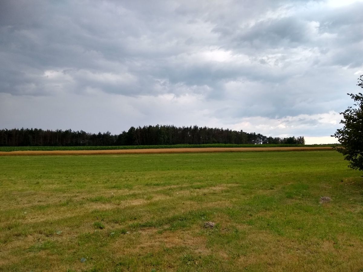 Motorola Moto G6 – test smartfonu z lekkim i sprawnym Androidem 17