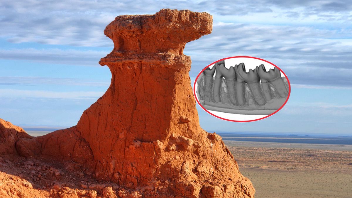 Na pustyni Gobi znaleziono maleńki, ale bardzo cenny fragment