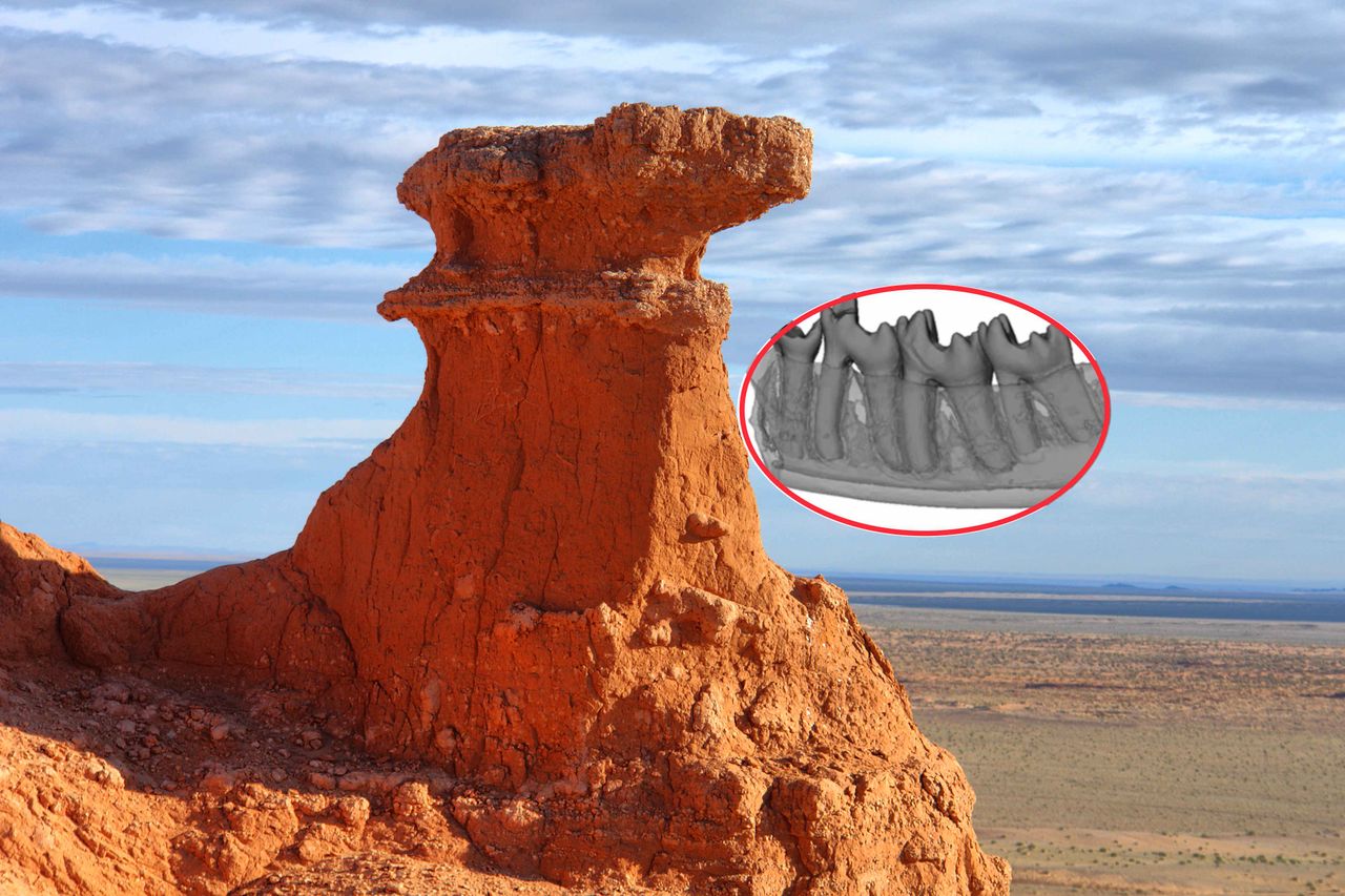 Znalezisko ma zaledwie 1 cm. "To po prostu cud"