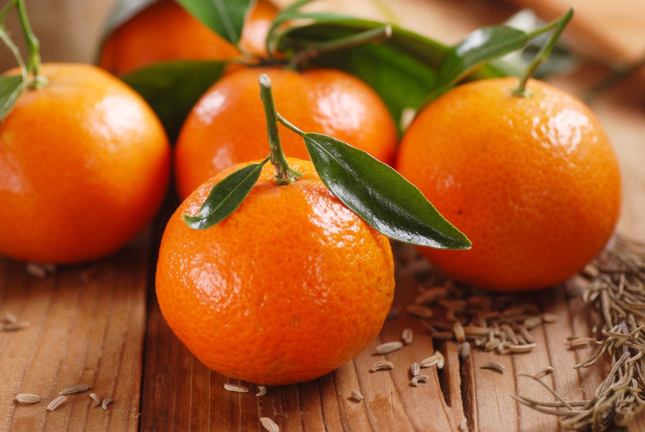 Can you distinguish them from mandarins? (illustrative photo)