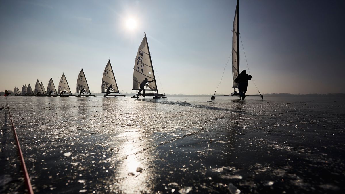Materiały prasowe / Robert Hajduk