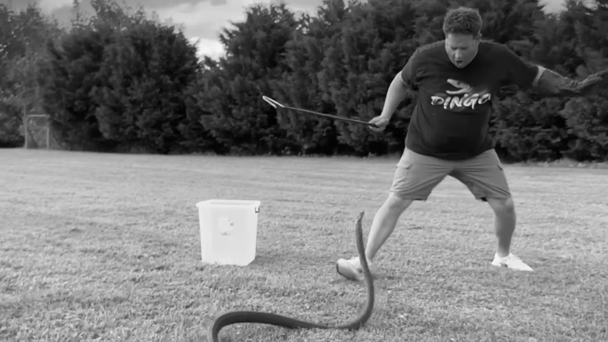 Znany przyrodnik zginął od ukąszenia węża