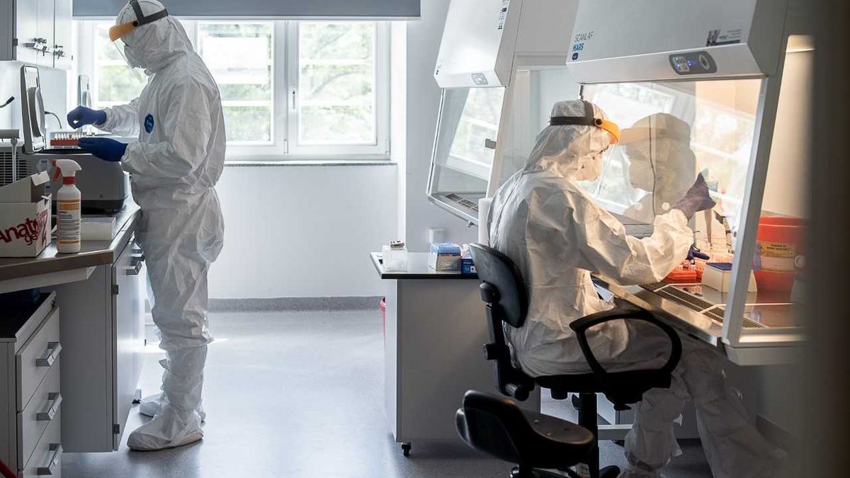 Imprezy rodzinne, wśród nich wesela, są głównymi źródłami zakażeń koronawirusem w południowej Małopolsce 