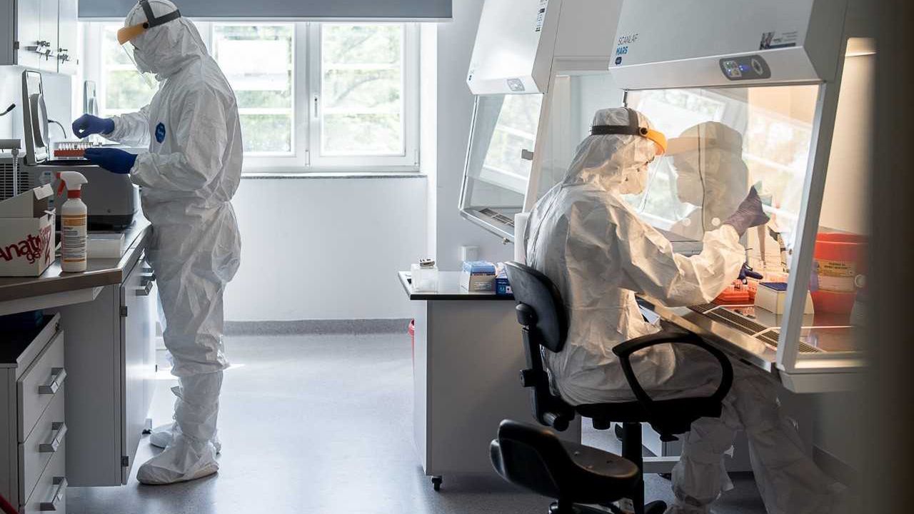 Koronawirus. Ogniska w dwóch powiatach. "Takie są fakty, to wesela"