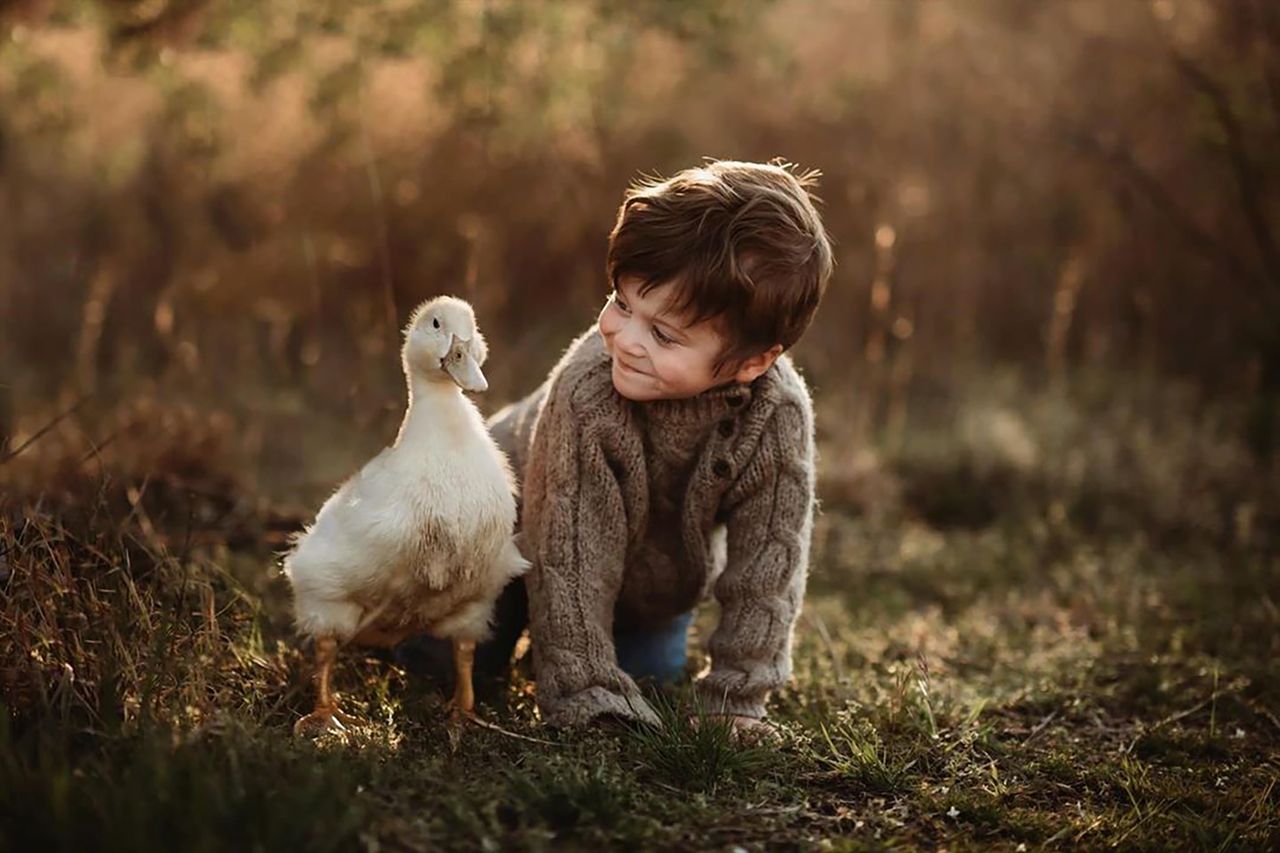 Beztroskie dzieciństwo ukazane dzięki miłości do zwierząt