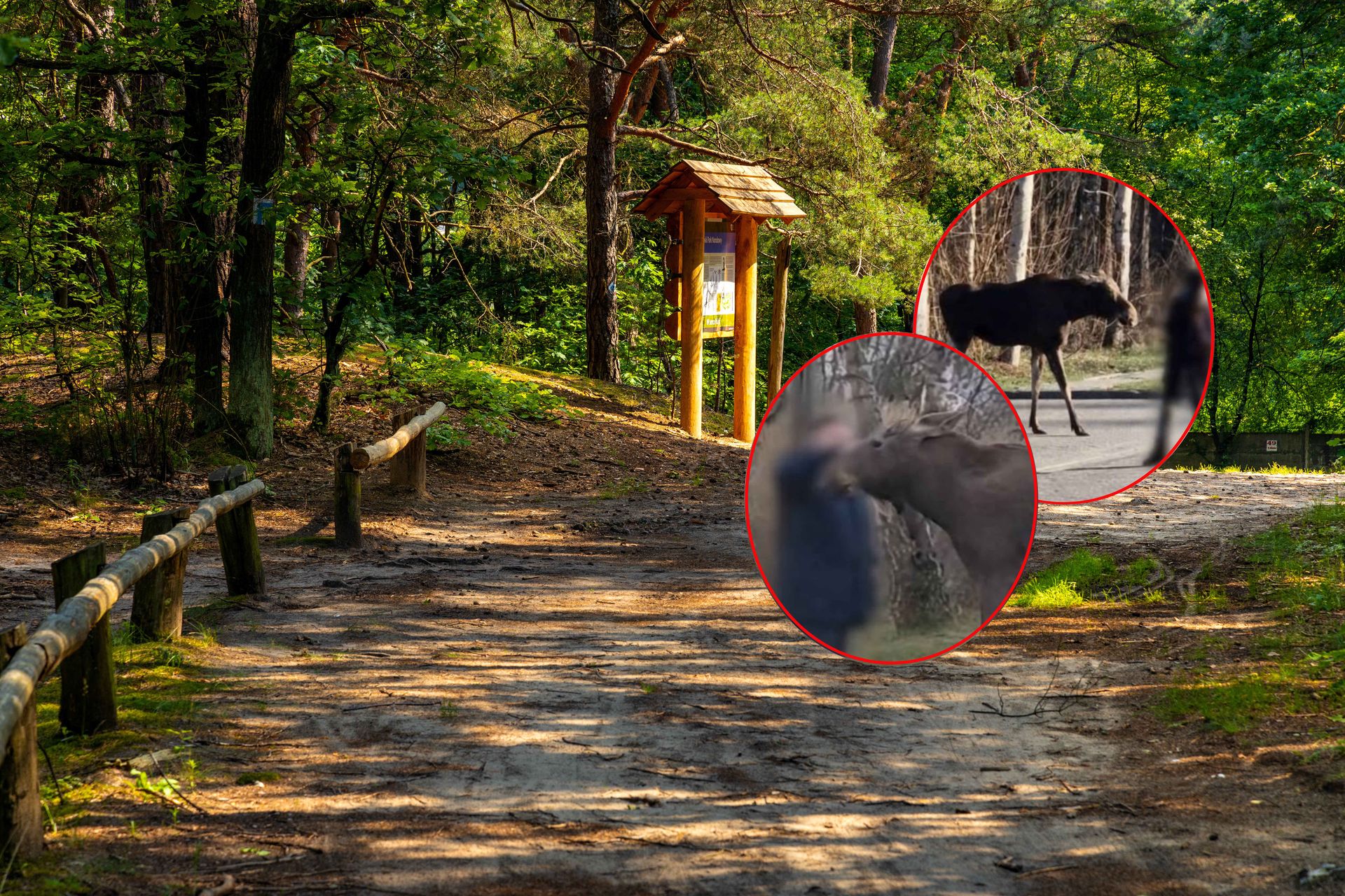 Bezmyślne zachowanie turystów. "Nie prowokujcie tragedii"