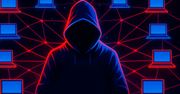 Jak działa botnet i do czego używają go cyberprzestępcy?