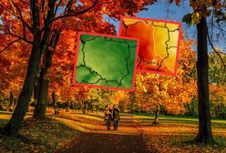 Wyż Urmi wkracza do Polski. Babie lato na początek listopada