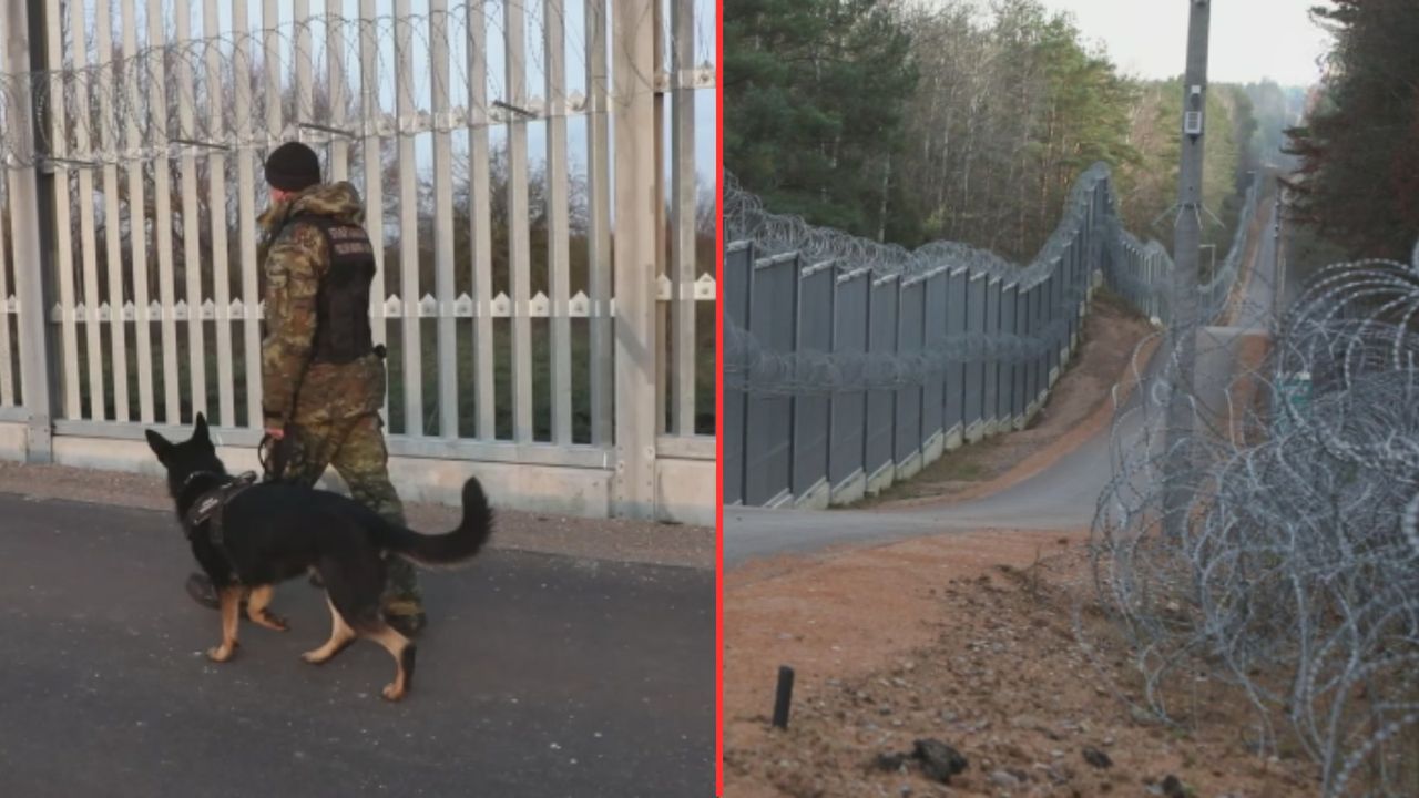 Budują nowe zapory przeciw migrantom. Dzieje się na granicy z Białorusią