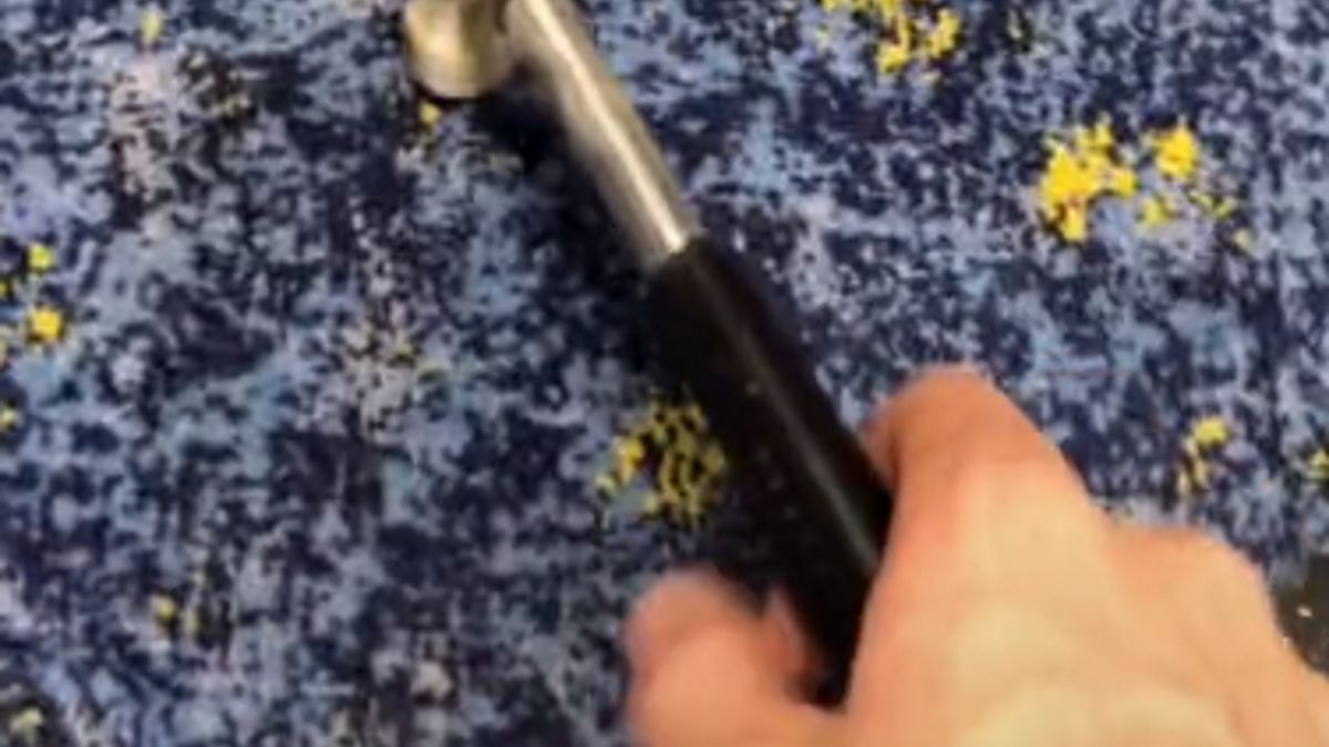 Australijka była wstrząśnięta