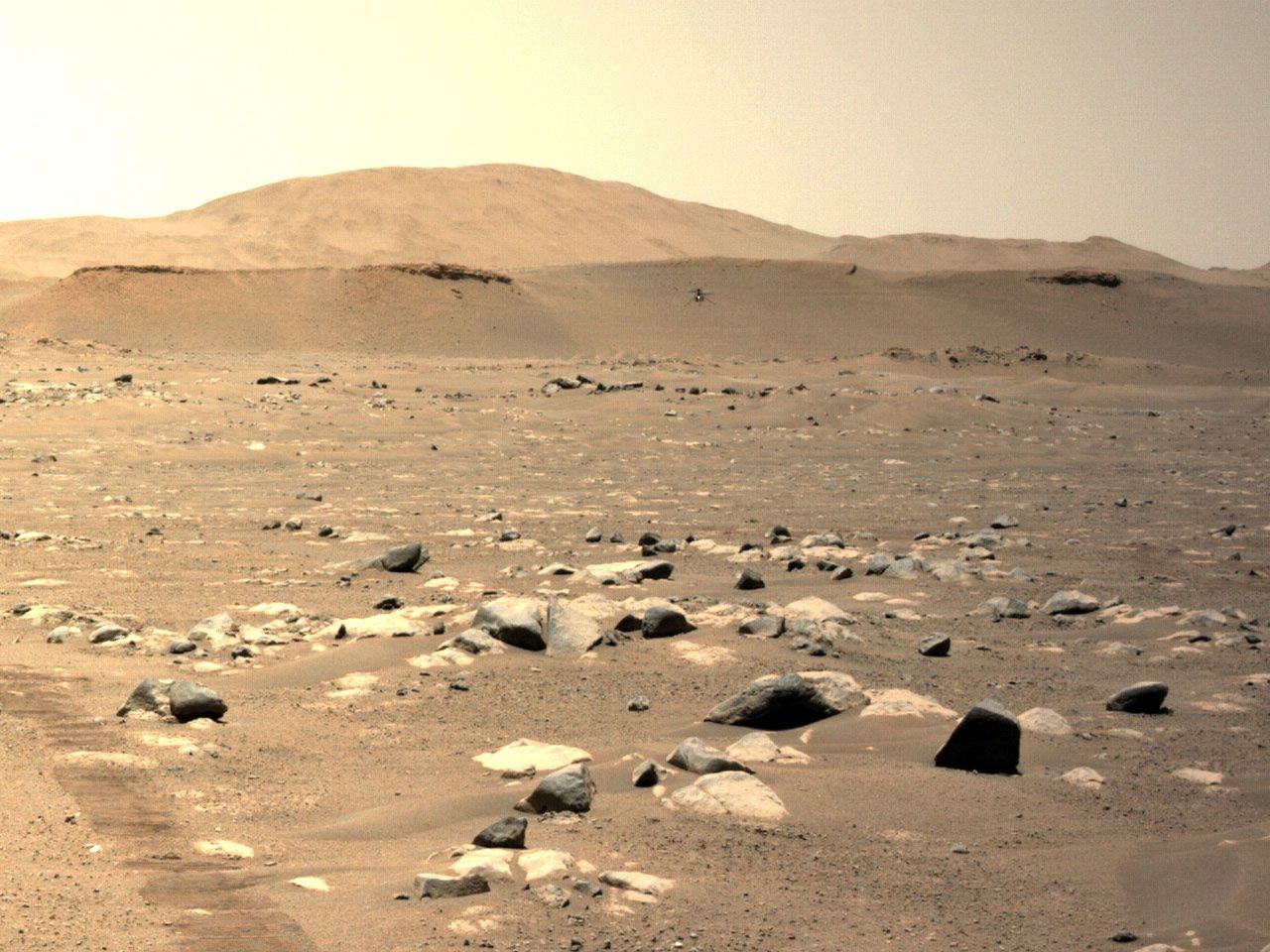 Życie na Marsie może istnieć za sprawą NASA