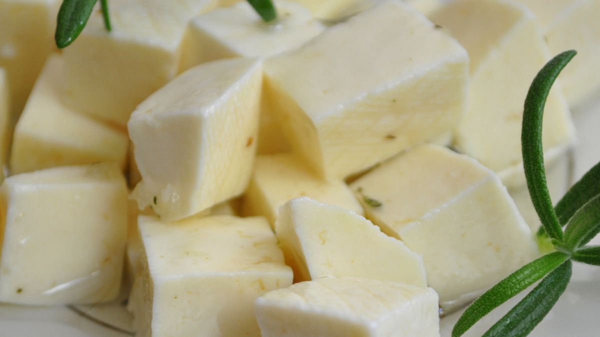 Ser owczy jest dobry dla seniorów