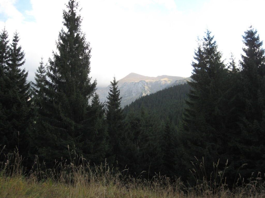 Przyslop Mietusi