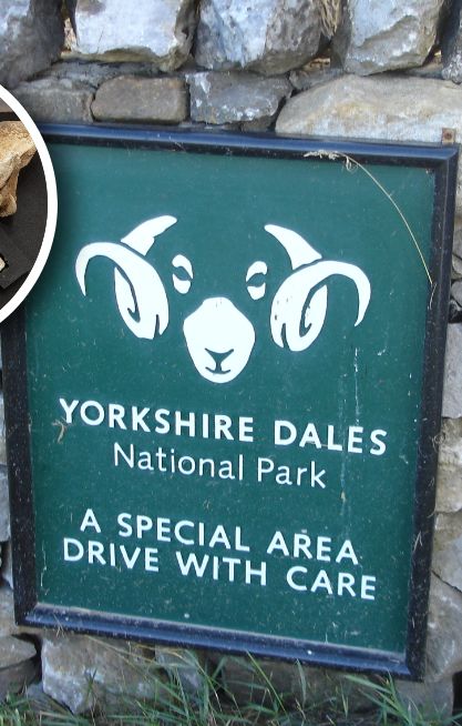 Odkrycie Brytyjczyków. Znaleźli szczątki wymarłego bydła z epoki brązu