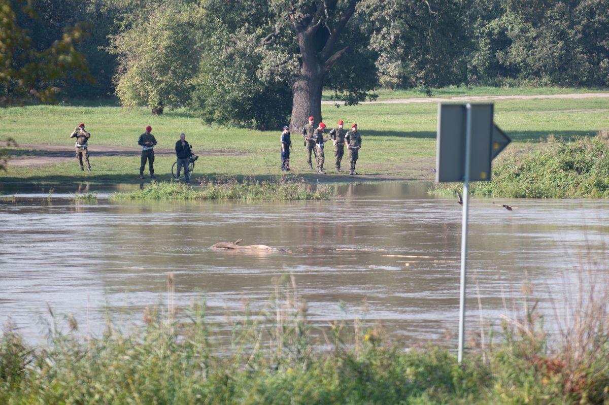 Służby szukają człowieka przebranego w mundur wojskowy 