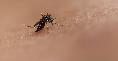Wrócił niebezpieczny wirus. Najbardziej zagrożone są kobiety w ciąży