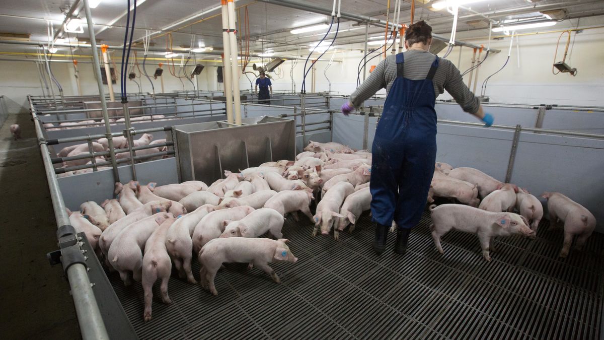 Zdjęcie ilustracyjne