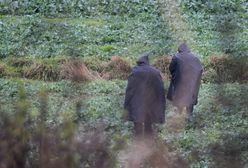 Wybuch w Przewodowie. Siły Powietrzne Ukrainy wydały komunikat