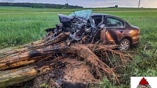 Michowice: Volkswagen roztrzaskał się na drzewie. 28-latek nie żyje