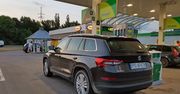 Škoda Kodiaq 2.0 TDI w trasie - ile tak naprawdę spali?