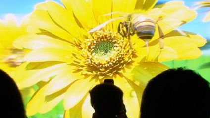 Największy wyświetlacz 3D bez okularów [wideo] 1