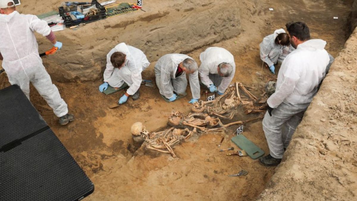 W chojnickiej Dolinie Śmierci odnaleziono ponad 700 ofiar zbrodn