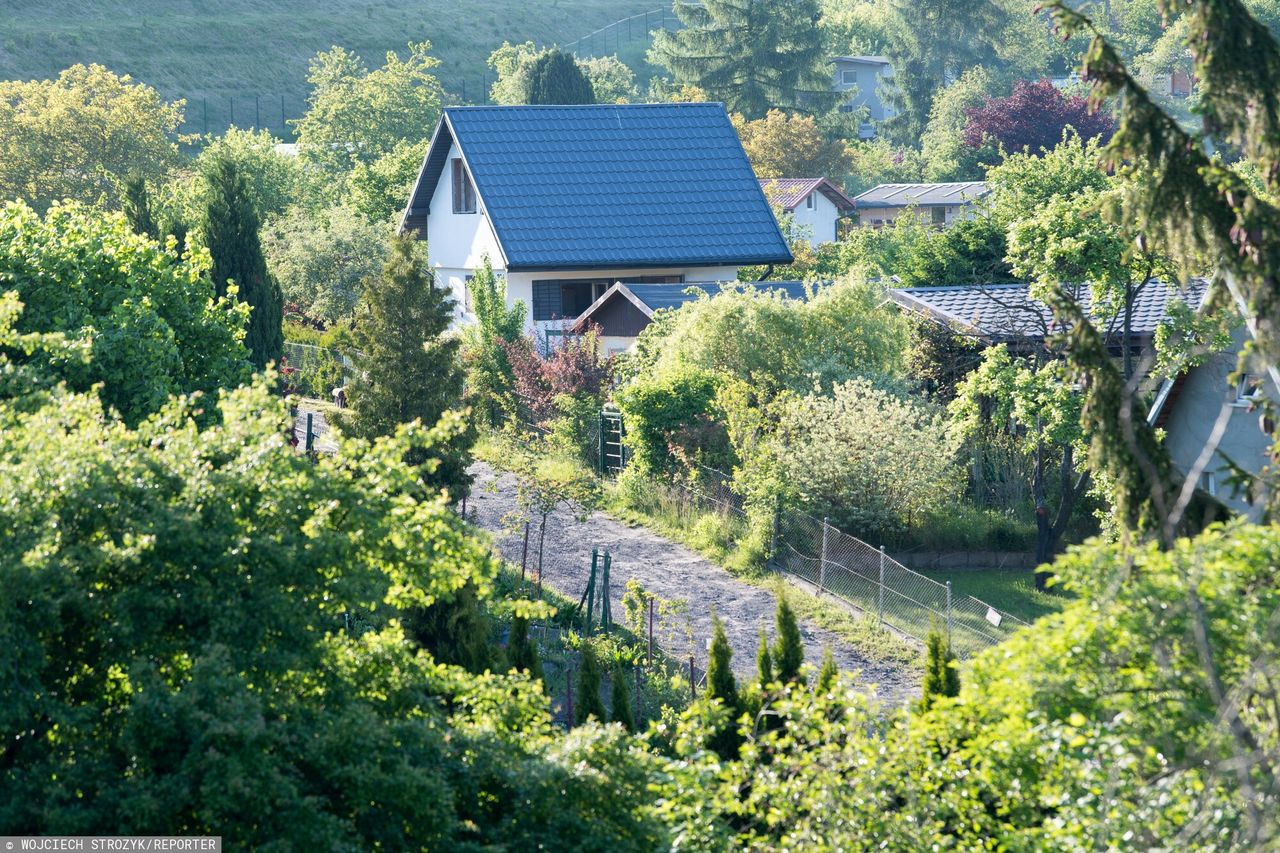 Nawet 60 procent rodzinnych ogrodów działkowych może zniknąć w wyniku reformy planowania przestrzennego