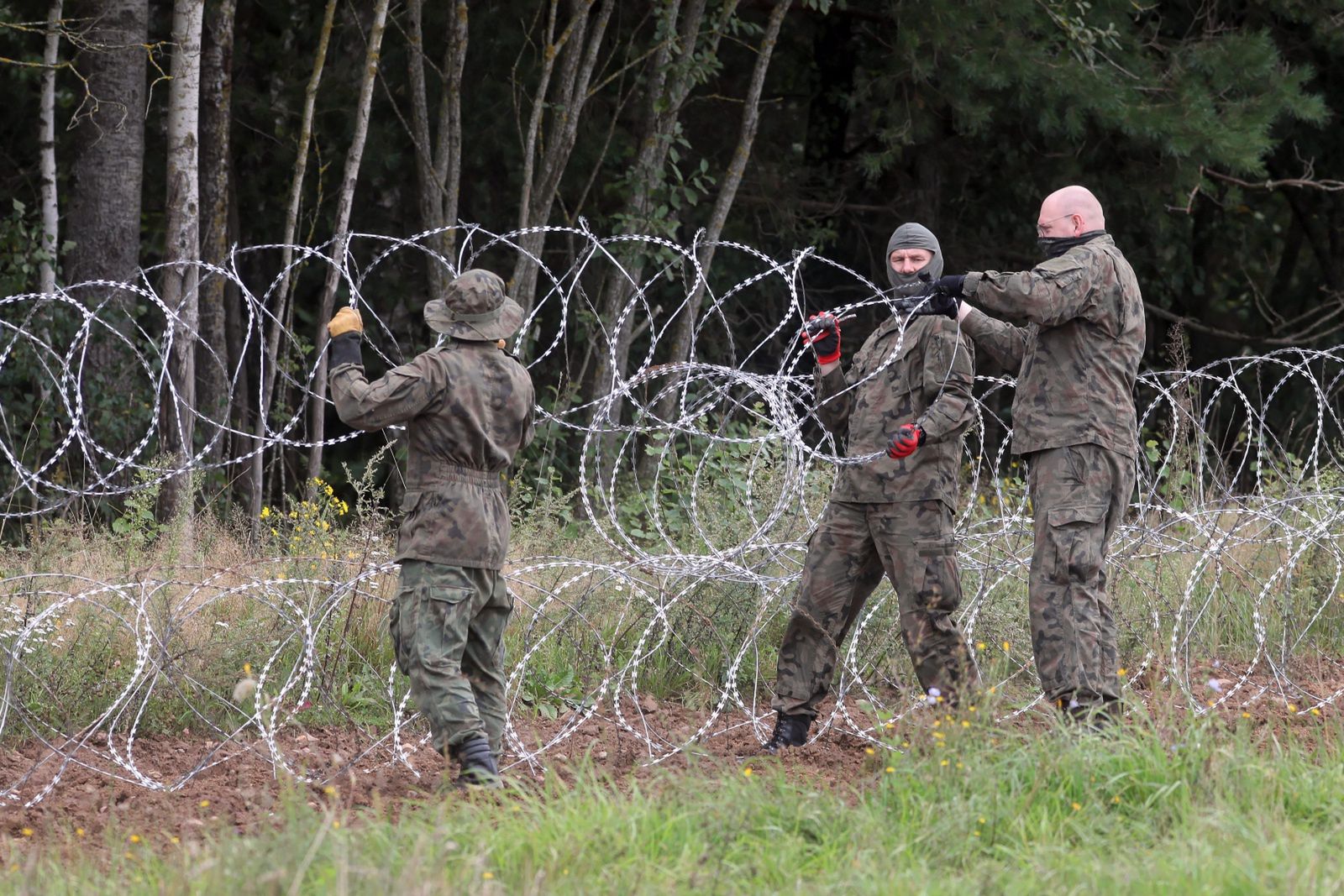 Płot na polskiej granicy. MON zapowiada "nowe i solidne" ogrodzenie