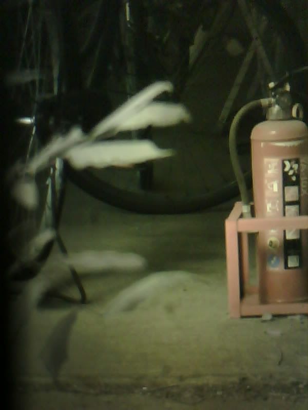 Przekształcił analoga w cyfrę. Oto, jak Nikon FM zyskał drugie życie 15