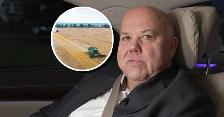 Ukraińska żywność zalała Polskę? Prezes makaronowego giganta odpowiada